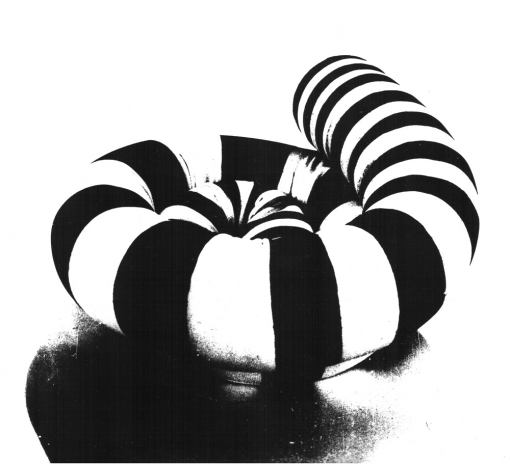 čalúnený prvok HAD